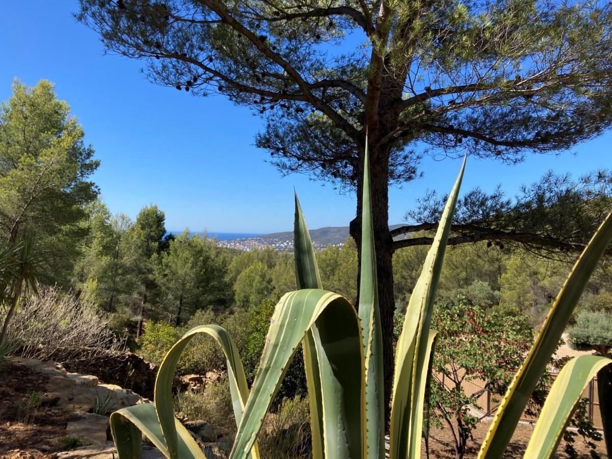Avec Jacuzzi Sur Les Hauteurs De La Ciotat